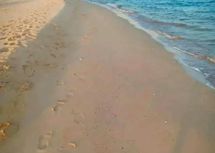 Lasriena Palm Ain Sokhna *